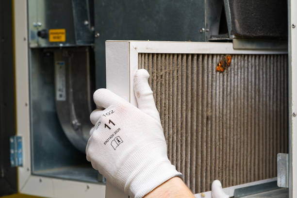 Best Air Duct Mold Removal  in Warren, IL